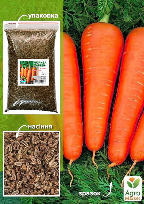 Морковь "Артек" ТМ "Весна" 500г