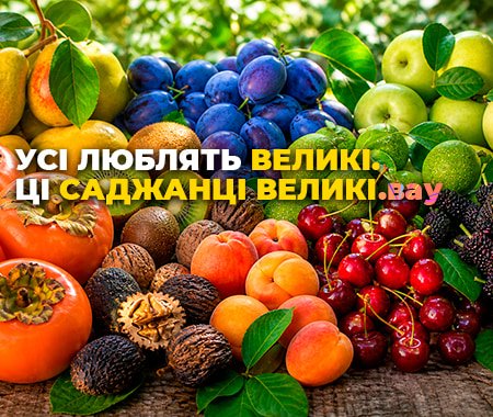 Великий саджанець — чудовий результат