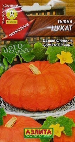 Гарбуз "Цукати" великоплідна ТМ "АЕЛІТА" 1г