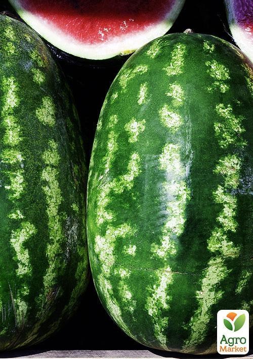 Арбуз "Ау Продюсер" (в банке) ТМ "Весна Органик" 10г