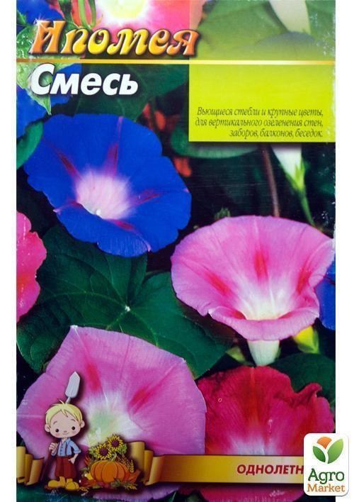 Ипомея "Смесь" (Большой пакет) ТМ "Весна" 0,8г - фото 2