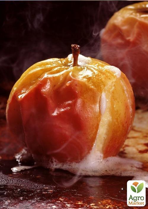 Яблоня "Хоней Крисп" (зимний сорт, поздний срок созревания) - фото 4