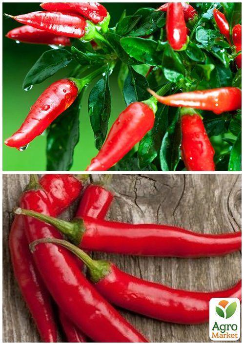 На вагу Перець "Український гіркий" ТМ "Весна" ціна за 2г - фото 2