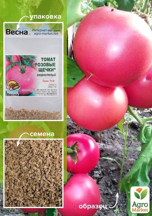 Томат "Розовые щечки" (Зипер) ТМ "Весна" 0,5г