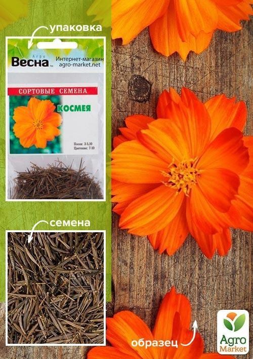 Космея Помаранчева (Зипер) ТМ "Весна" 1г