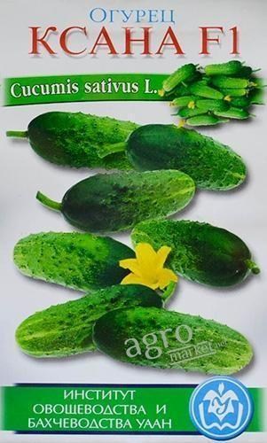 Огурец "Ксана F1" ТМ "Солнечный март" 20шт