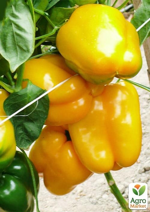 Перец "Виват F1" ТМ "Lark Seeds" 500шт