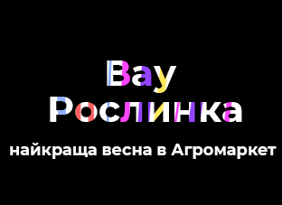 Вау Доставка. Вау Рослинка. Вау Ціна.