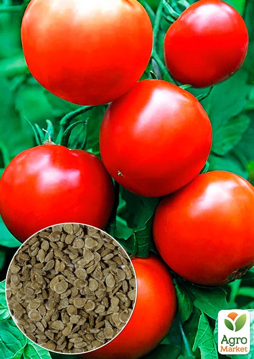 Томат "Загадка" (Зипер) ТМ "Весна"0,5г