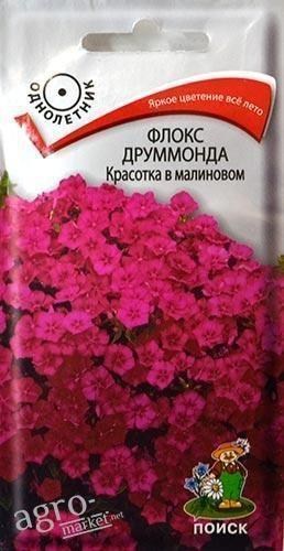 Флокси Друммонда "Красуня в малиновому" ТМ "Пошук" 0.1г