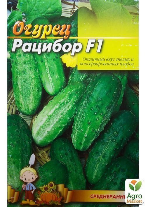 Огурец "Рацибор F1" (Большой пакет) ТМ "Весна" 1.5г - фото 2