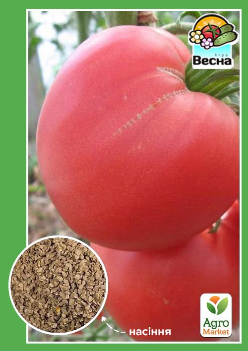 Томат "Бичаче серце малинове" (Новий пакет) ТМ "Весна" 0.1г