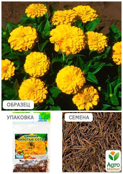Цинія "Золоті соти" (Зипер) ТМ "Весна" 2г - фото 4