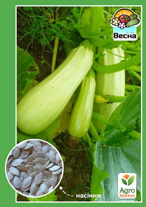 Кабачок "Одеський кущовий" ТМ "Весна" 2г