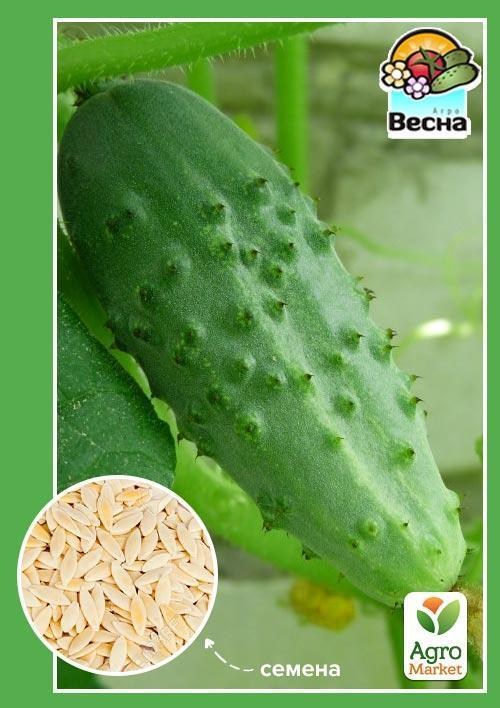 Огірок "Мить" ТМ "Весна" 0.5г