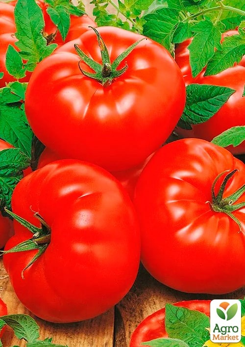 На развес Томат "Толстушка" ТМ "Весна" цена за 1г - фото 2