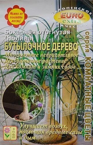 Бокарнея відігнута (ноліна) "Темно-зелене дерево" ТМ "Аеліта" 10шт