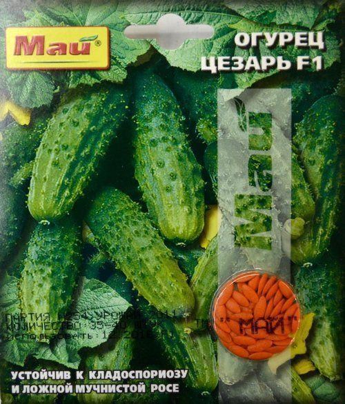 Огірок "Цезар F1" ТМ "Май" 35-40шт