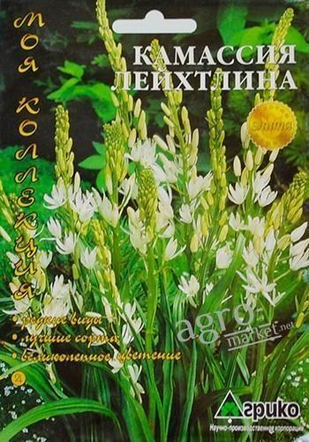Камассия "Лейхтлина" ТМ "Агрико" 3шт