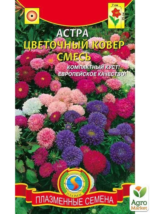 Айстра "Квітковий килим" суміш ТМ "Плазмові насіння" 0,2г