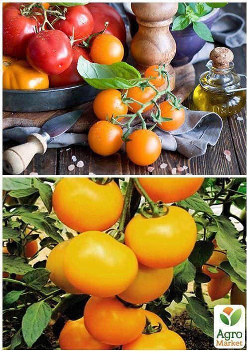 На развес Томат "Черри золотой" ТМ "Весна" цена за 1г - фото 3