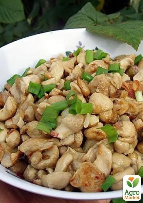 Сухой зерновой мицелий "Дождевик съедобный" 10г - фото 2