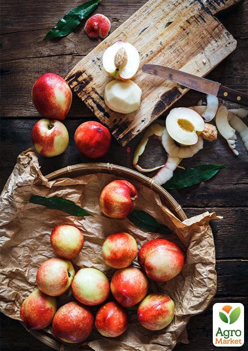 Нектарин "Хард Блейз" (лысый персик, летний сорт, средний срок созревания) - фото 5