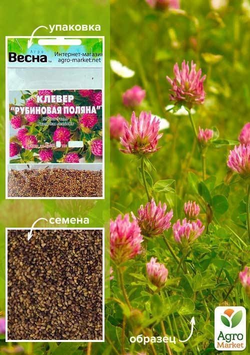 Конюшина "Рубінова галявина" (Зіпер) ТМ "Весна" 15г 