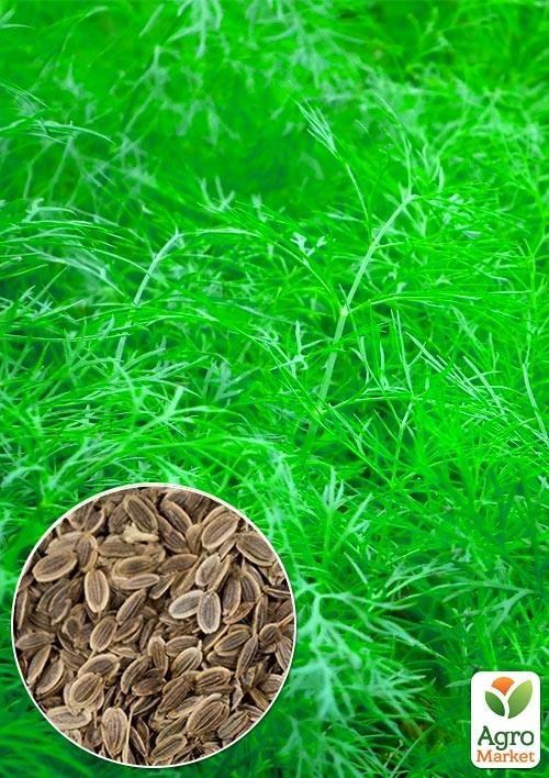 На развес Укроп "Бэлли" ТМ "Весна" цена за 20г