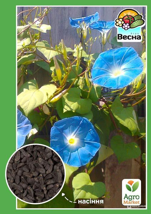 Ипомея голубая ТМ "Весна" 0.5г