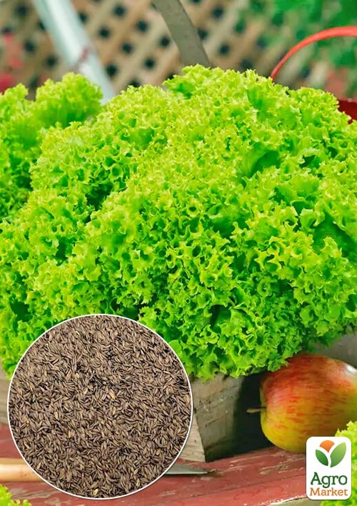 Салат "Орфей" (Зипер) ТМ "Весна" 3г