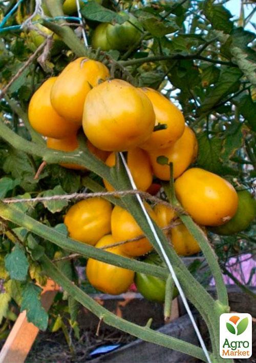 На развес Томат "Белый айсберг" ТМ "Весна" цена за 1г