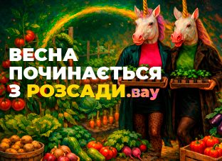 Розсада відкрита у передзамовлення