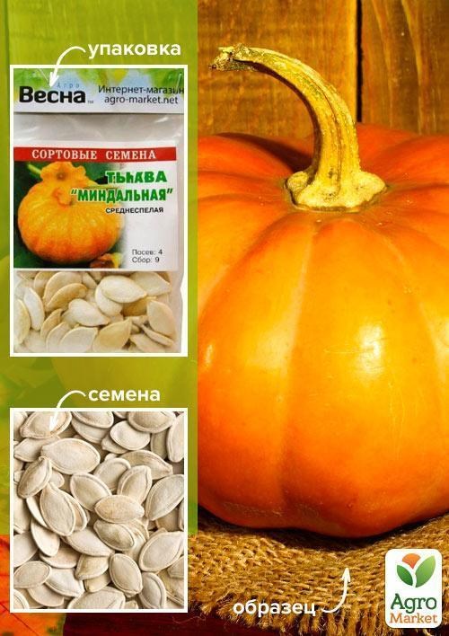 Тыква "Миндальная" (Зипер) ТМ "Весна" 8г