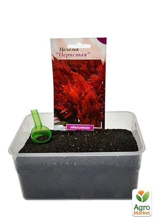 На вагу Целозія Периста ТМ "Весна" ціна за 4г - фото 3