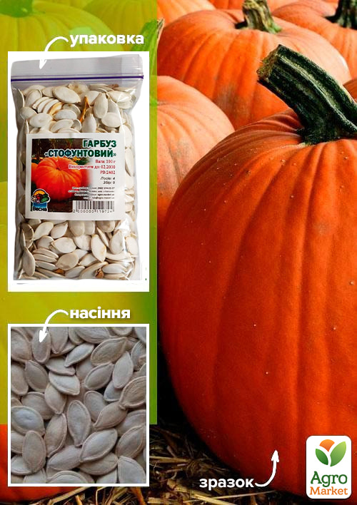 Гарбуз "Стофунтовий" ТМ "Весна" 100г
