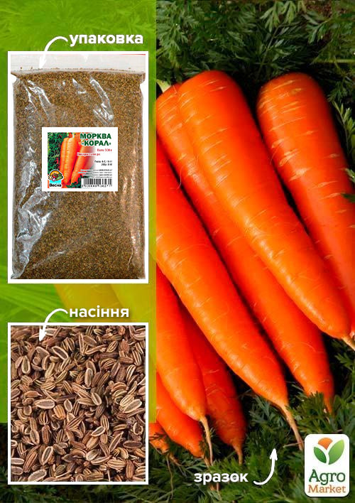 Морква "Корал" ТМ "Весна" 500г
