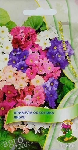 Примула обконика "Либре" ТМ "Поиск" 10шт