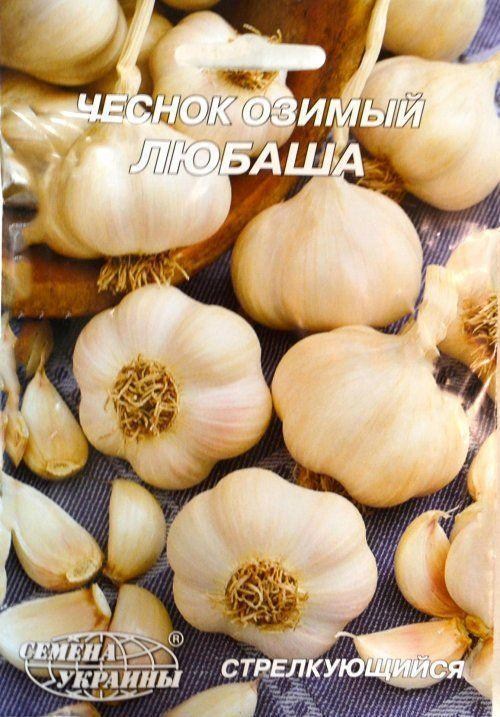 Часник озимий "Любаша" ТМ "Насіння України" 10г