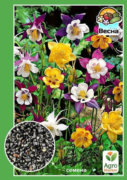 Аквилегия "Водосбор" ТМ "Весна" 0.1г