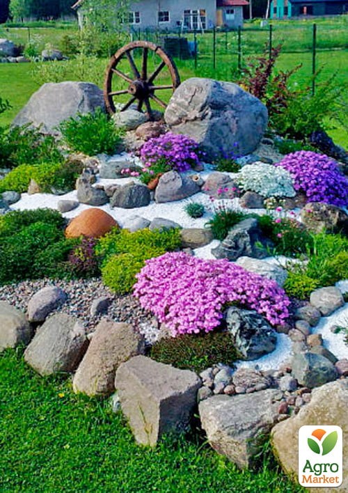 Комплект растений "Альпийская горка 2" (Alpine slide)