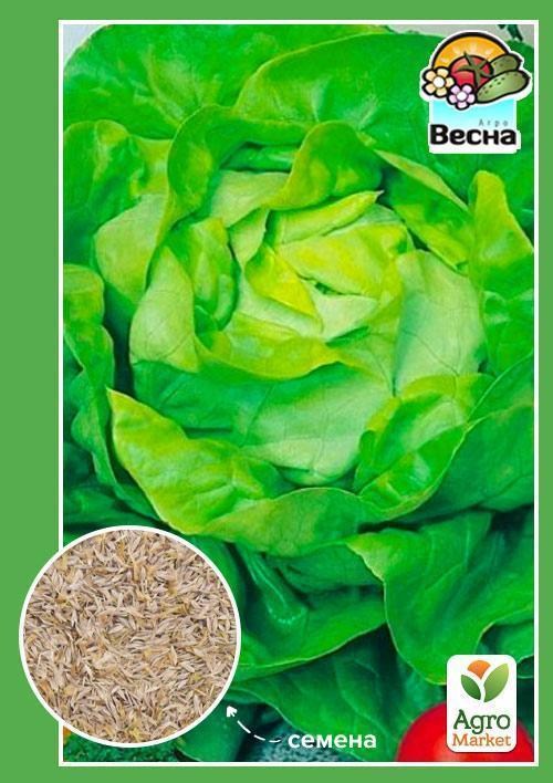 Салат-латук "Майская королева" ТМ "Весна" 1,5г