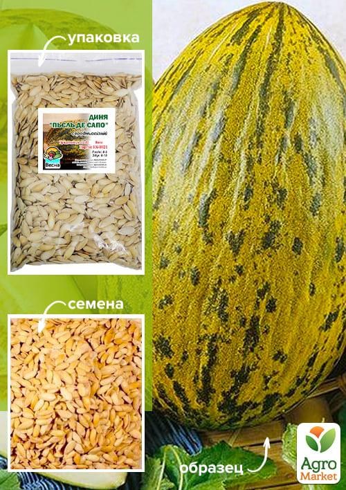 Дыня "Пьель де Сапо" ТМ "Весна" 100г