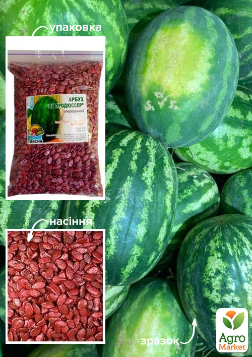 Арбуз обработанный "Ау Продюсер" ТМ "Весна" 500г