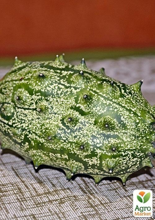 Ангурия антильская ТМ "Vesna Exclusive" 2шт