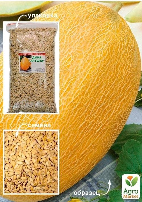 Дыня "Алушта" ТМ "Весна" 500г