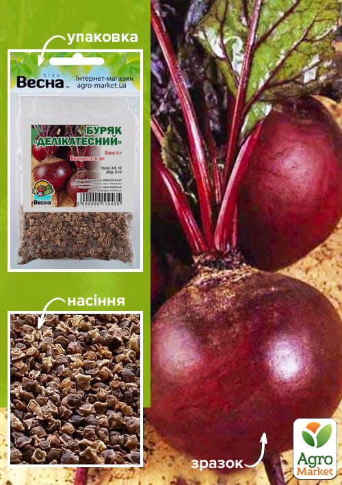 Буряк "Делікатесний" (Зипер) ТМ "Весна" 6г