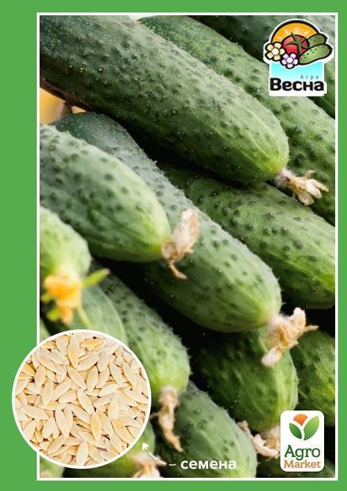 Огурец "Веселые ребята F1" ТМ "Весна" 0.25г