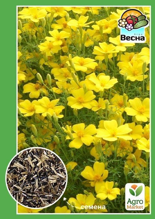 Чорнобривці "Лулу" ТМ "Весна" 0.3г