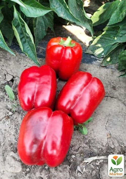 Перец "Сплит F1" ТМ "Lark Seeds" 500шт